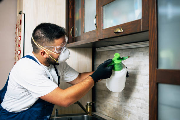 Best Flea Control Services  in Caledonia, WI
