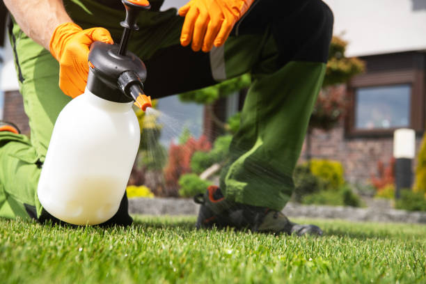 Best Mosquito Control Services  in Caledonia, WI