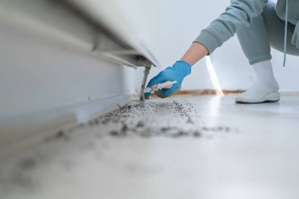 Best Affordable Pest Control Services  in Caledonia, WI