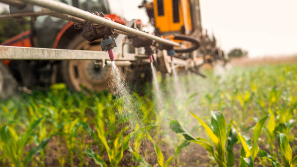 Best Commercial Pest Control Services  in Caledonia, WI