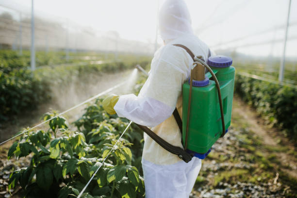 Insect Control in Caledonia, WI
